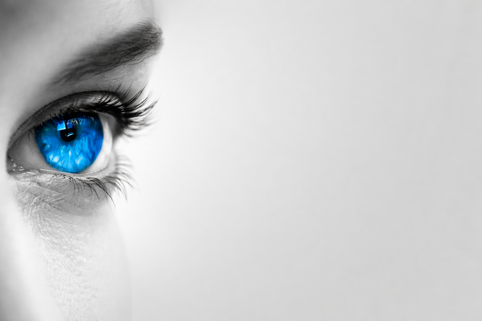 oko na szarym tle